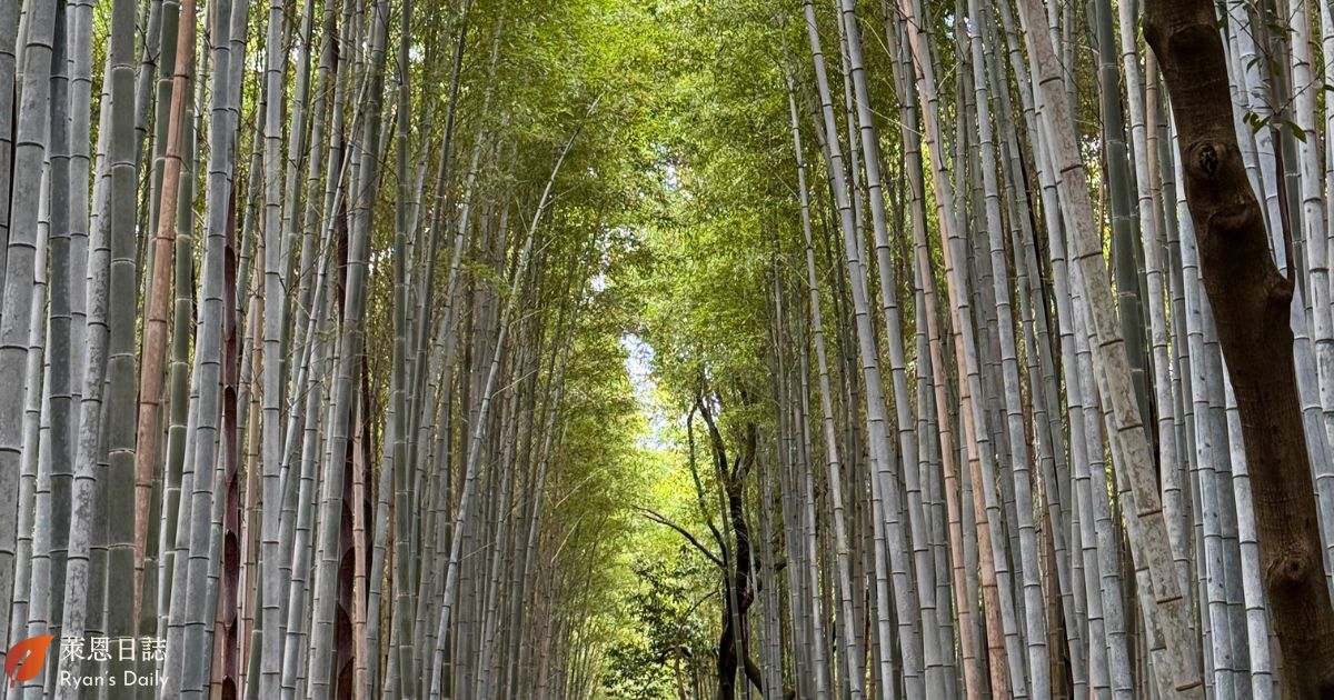 京都行程-京都嵐山-京都景點-嵐山竹林