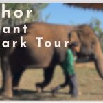 清邁克喬大象生態公園一日遊 Kerchor Elephant Eco Park Tour